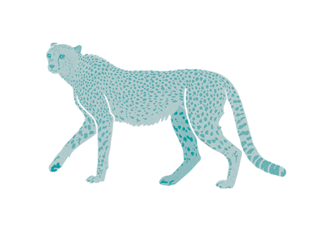 cheetah19