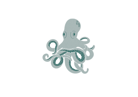 octopus17