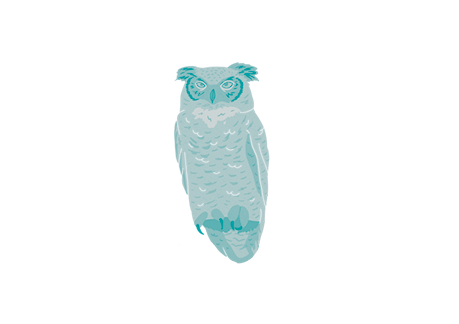 owl22