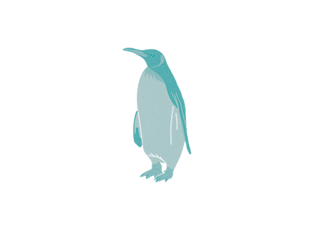 penguin23
